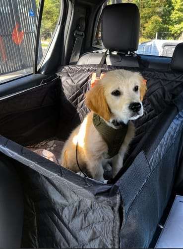 Customer photo review of Marlo&Co™ Single Seat Adventure Bundle