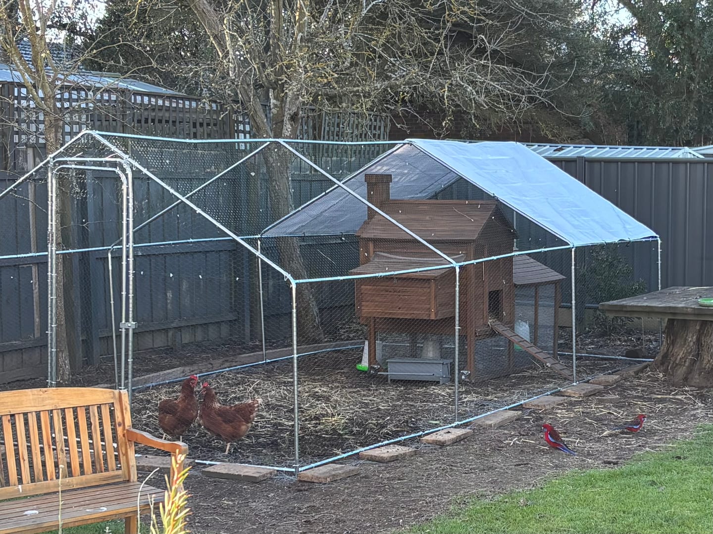 Customer photo review of Pets Gear Metal Galvanised Steel Walk In Chicken Coop 6m x 3m