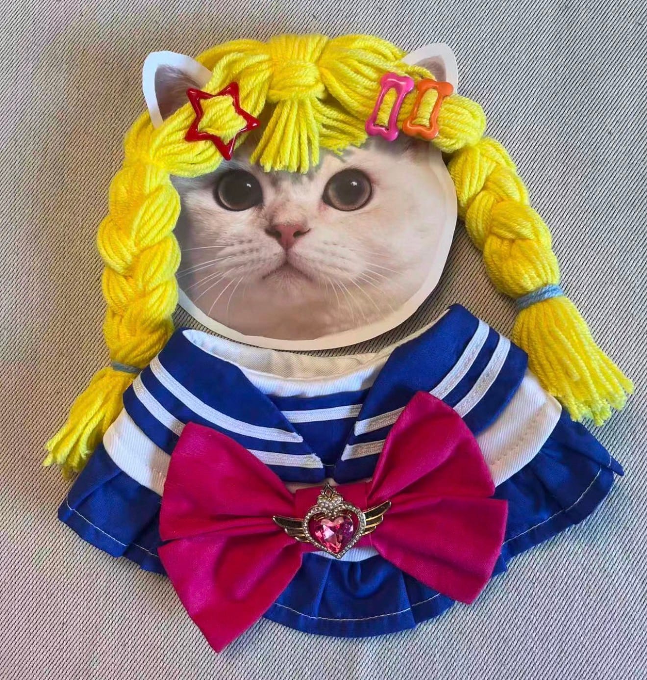 Customer photo review of Sailor Scout Pet Cosplay
