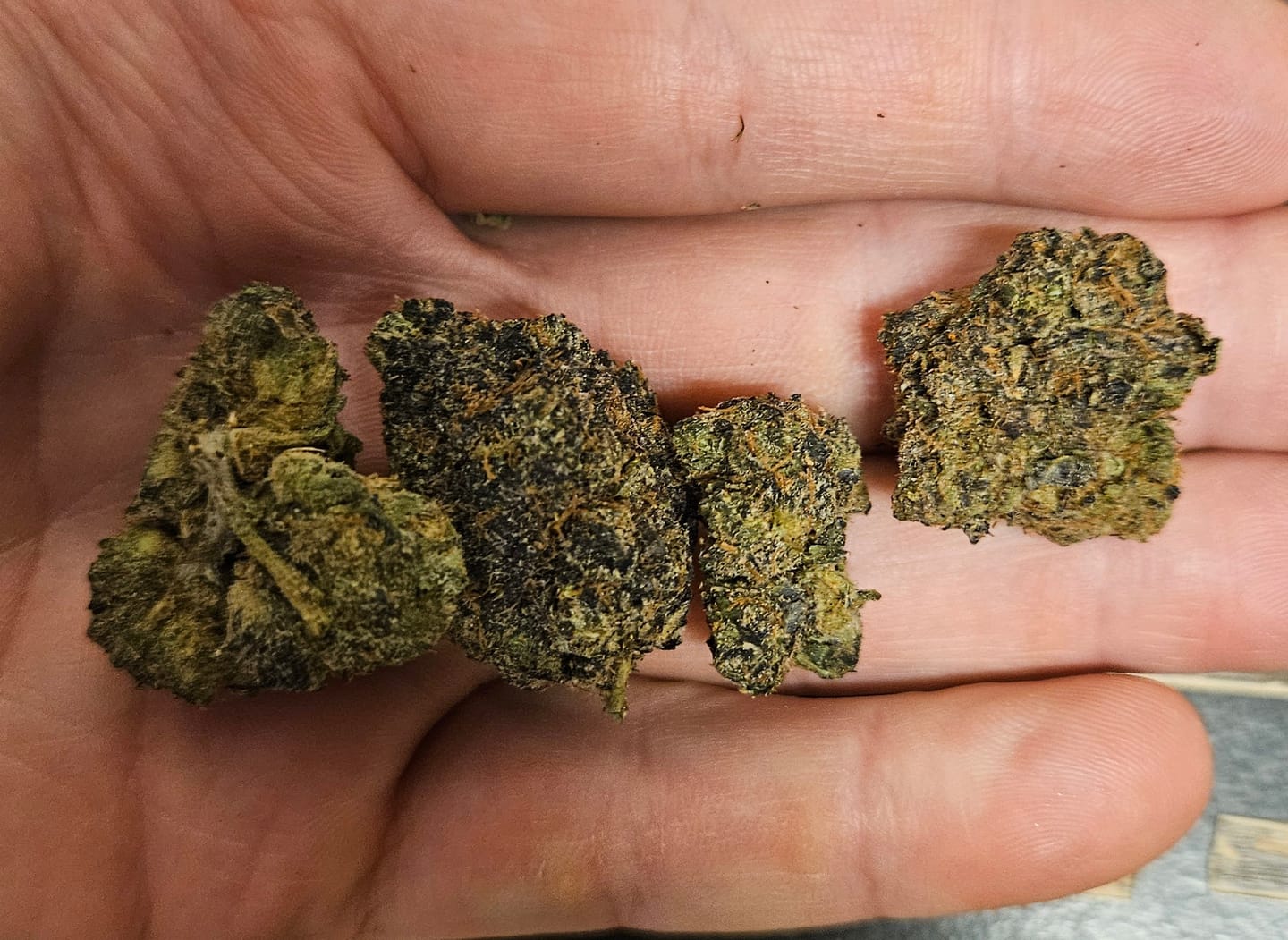 Customer photo review of Danky Kong