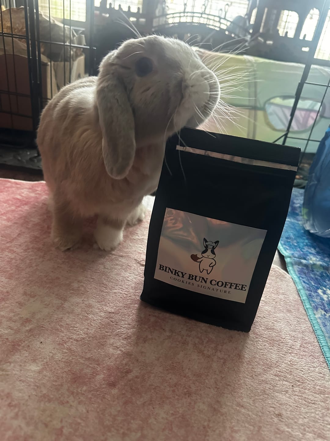 Customer photo review of Cookies' Signature Blend (Ground)