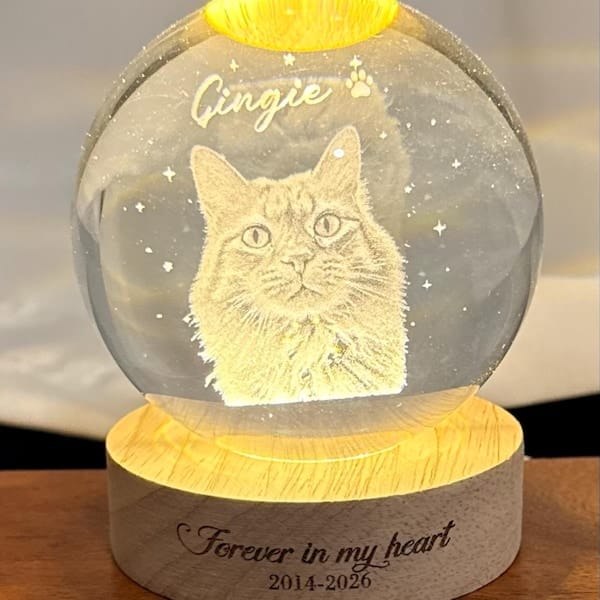 Customer photo review of Personalized Pet Portrait Crystal Ball Night Light