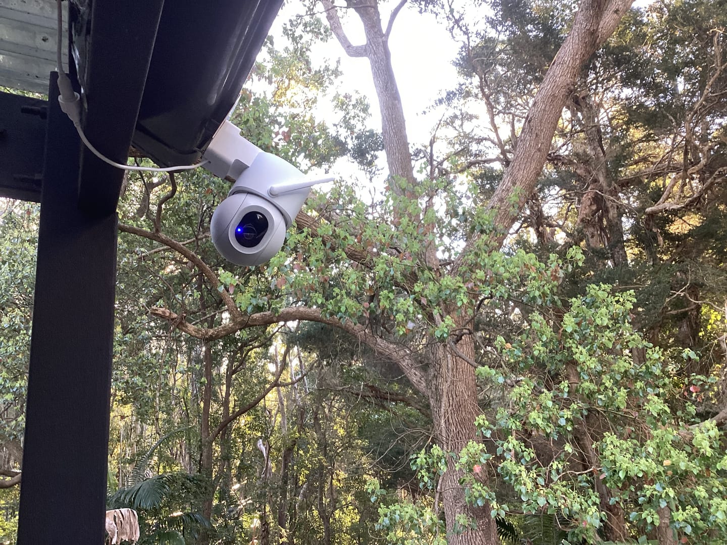 Customer photo review of Solar Camera Pro 3.0 WIFI®
