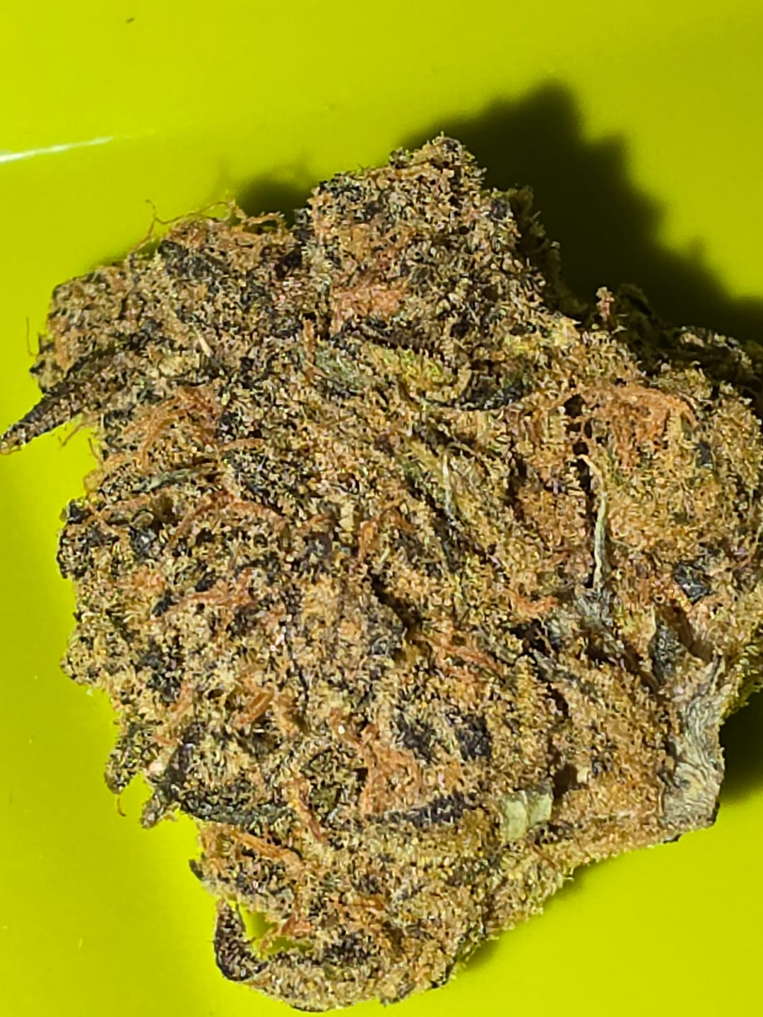 Customer photo review of Sour Diesel