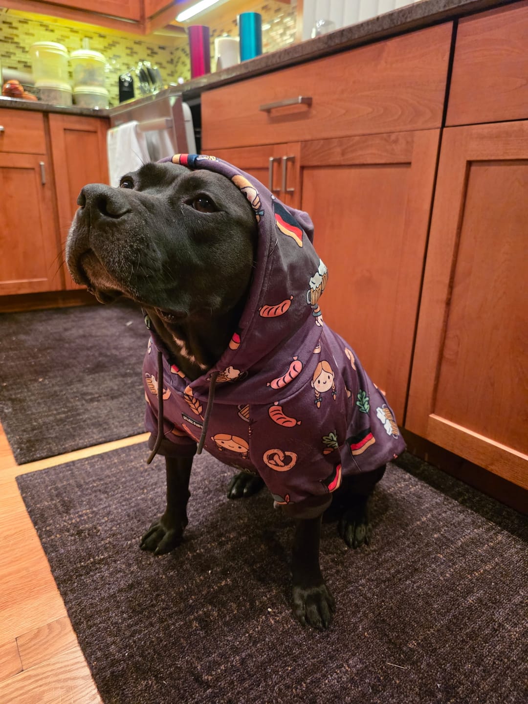 Customer photo review of The Germany Dog Hoodie - Dark Brown