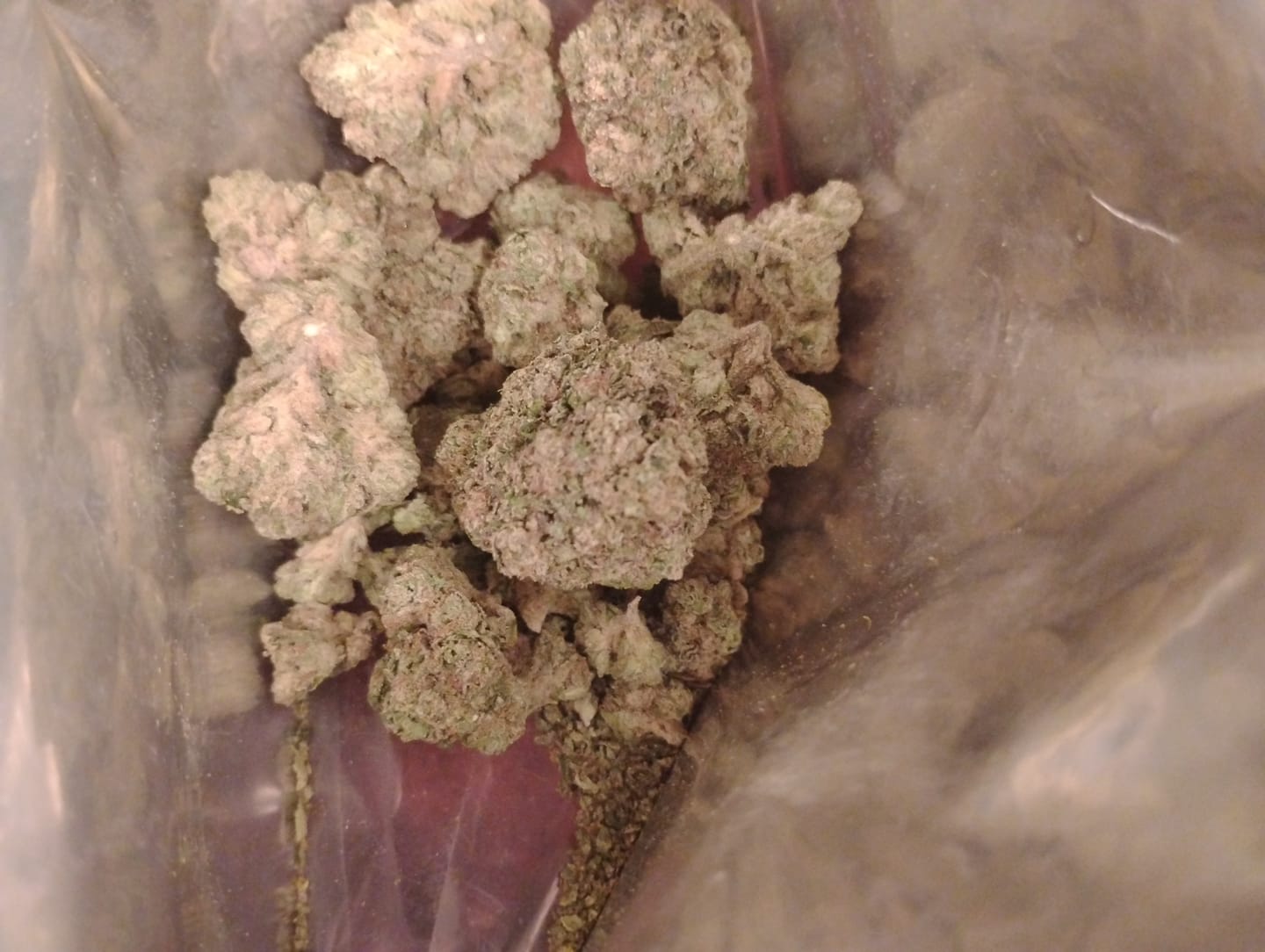 Customer photo review of Dank Blueberry Cruffin THCA Flower
