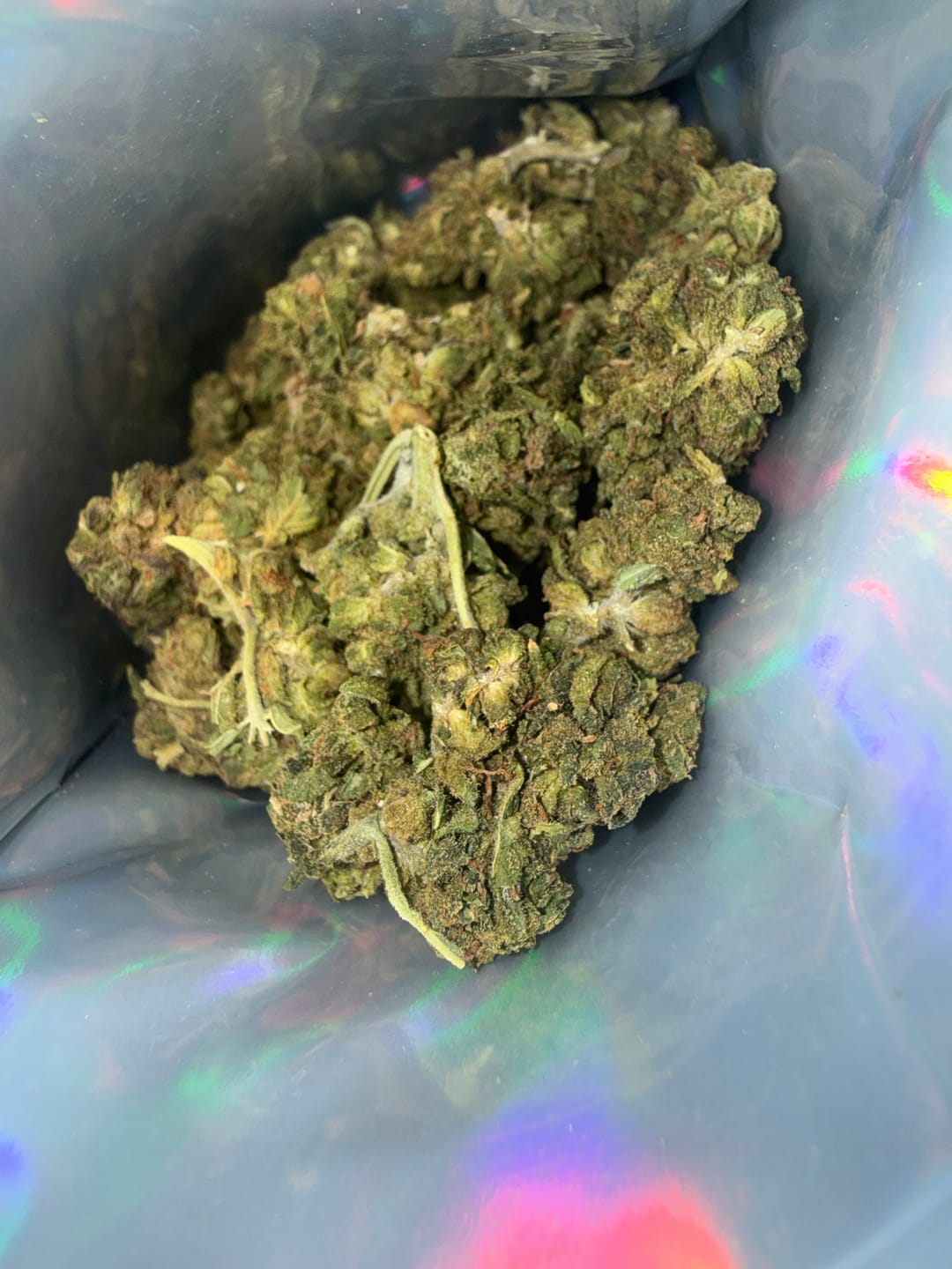 Customer photo review of ZAZA - Jungle Gelato - 28 Grams - Indica