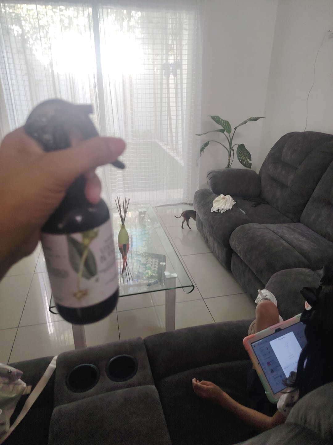 Customer photo review of Hoteles de Lujo