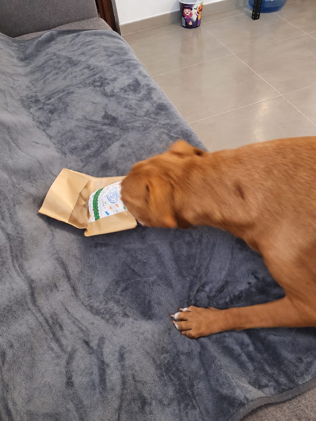 Customer photo review of Mix Funcional