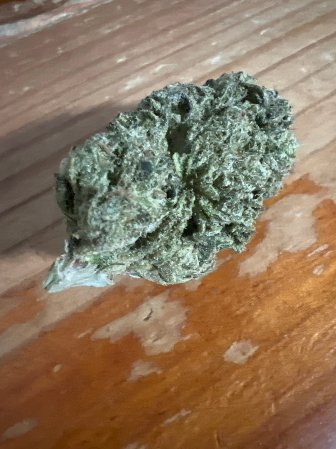 Customer photo review of Gorilla Glue THCA Flower