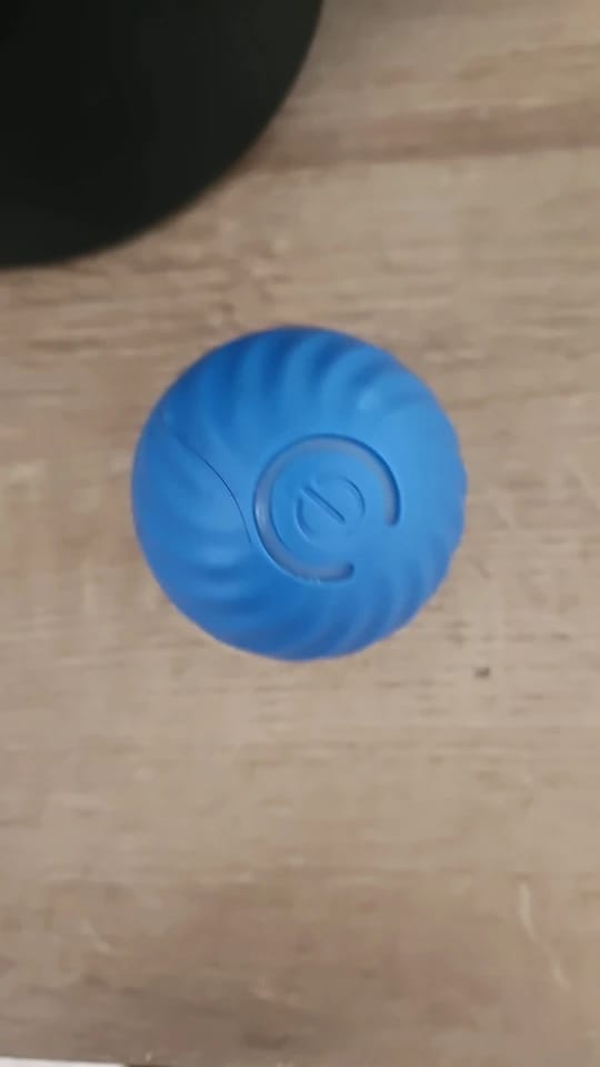 Customer photo review of Pelota Interactiva para Perros y Gatos – Movimiento Automático + Carga USB-C