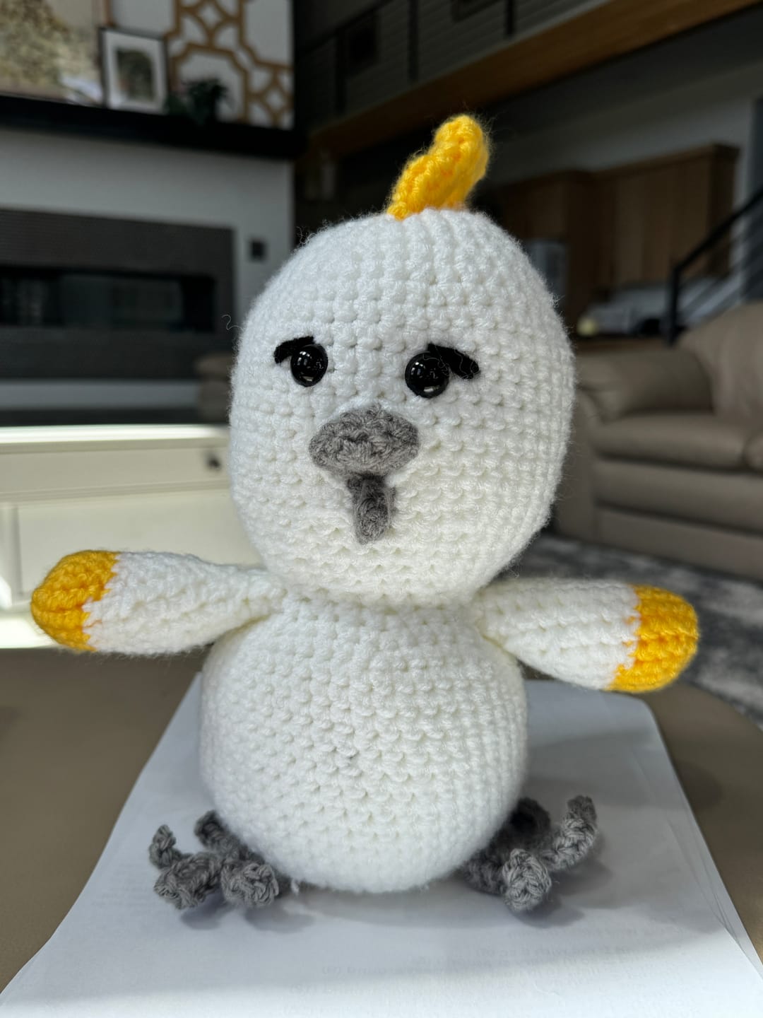 Customer photo review of Crochet Chicken Pattern PDF