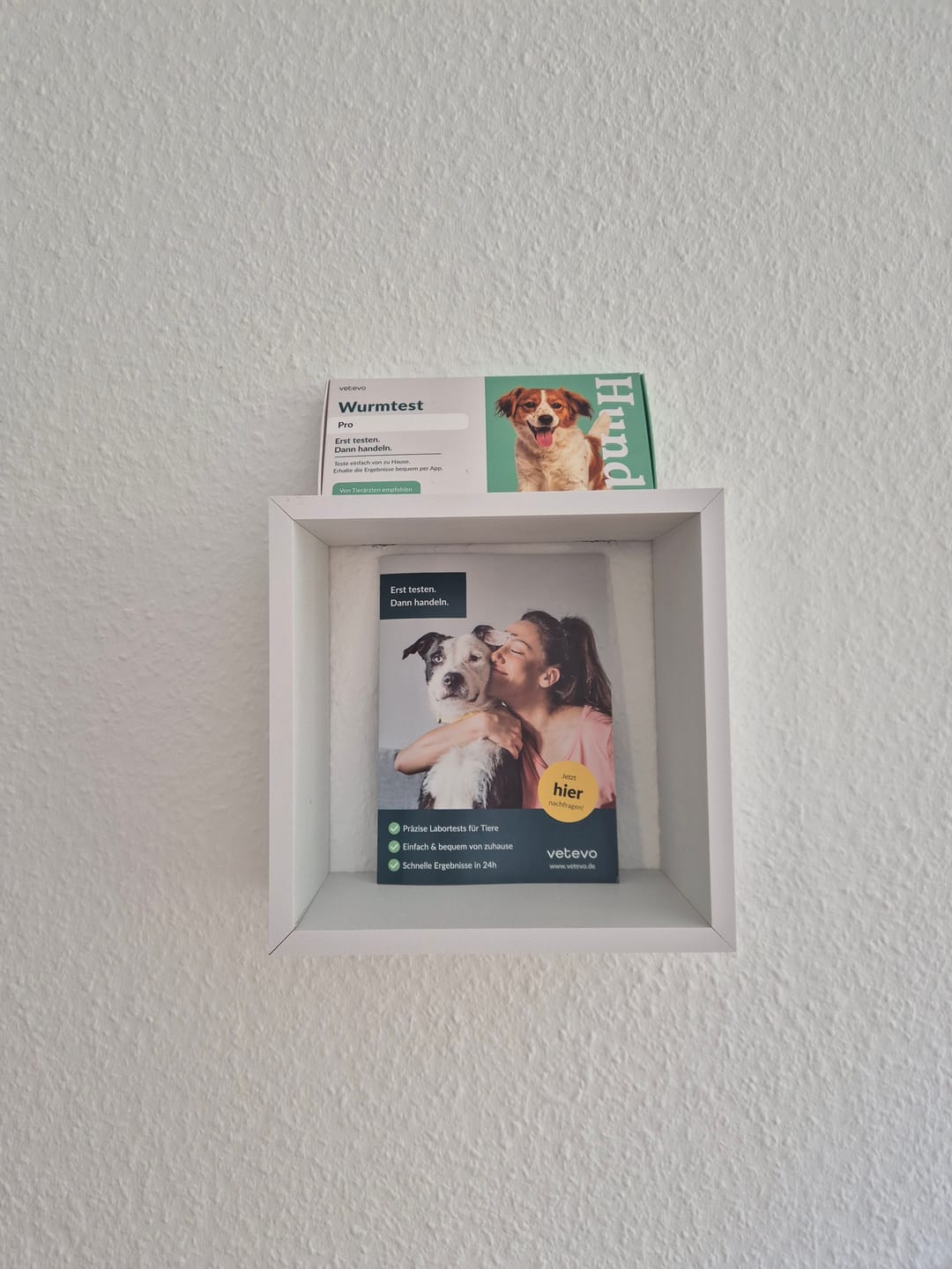 Customer photo review of vetevo b2b Flyer (10er Pack)