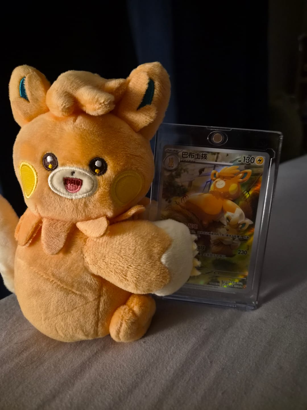 Customer photo review of Pokemon TCG Electric Plush Blind Box - Simplified Chinese