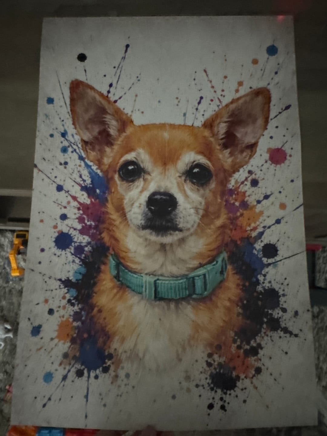 Customer photo review of Splash Portrait - Personalized Poster
