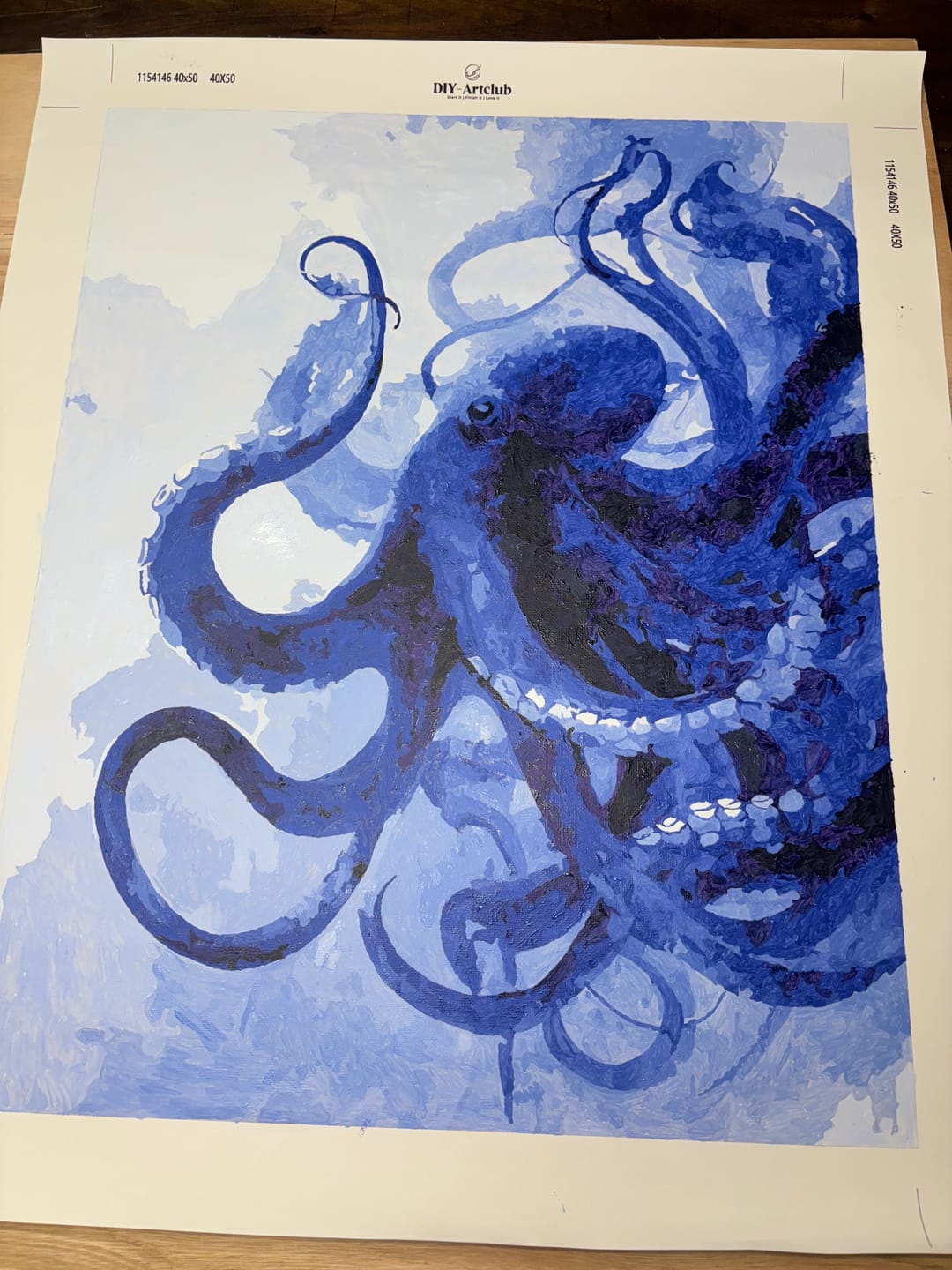 Customer photo review of Sea Creature | Paint by Number