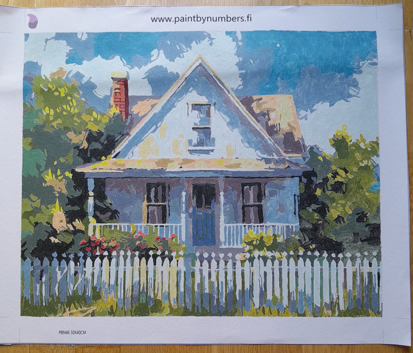 Customer photo review of PBN Mystery Box – 10 numeromaalausta