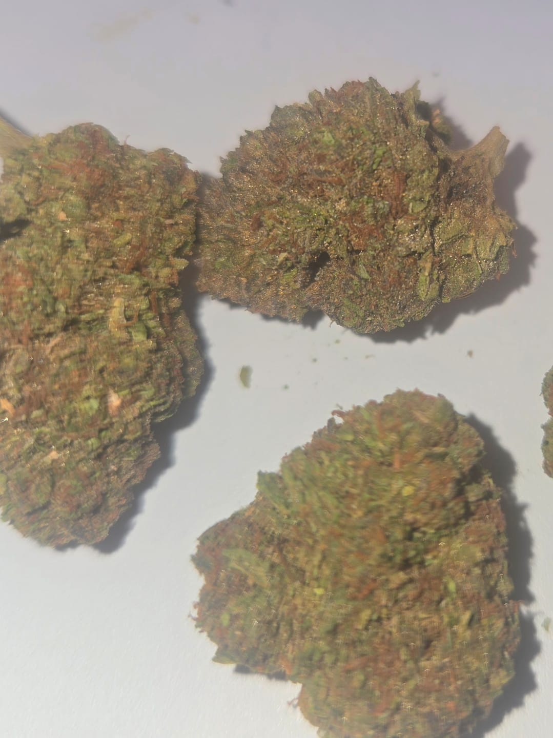 Customer photo review of Bulk THCA Flower Pounds