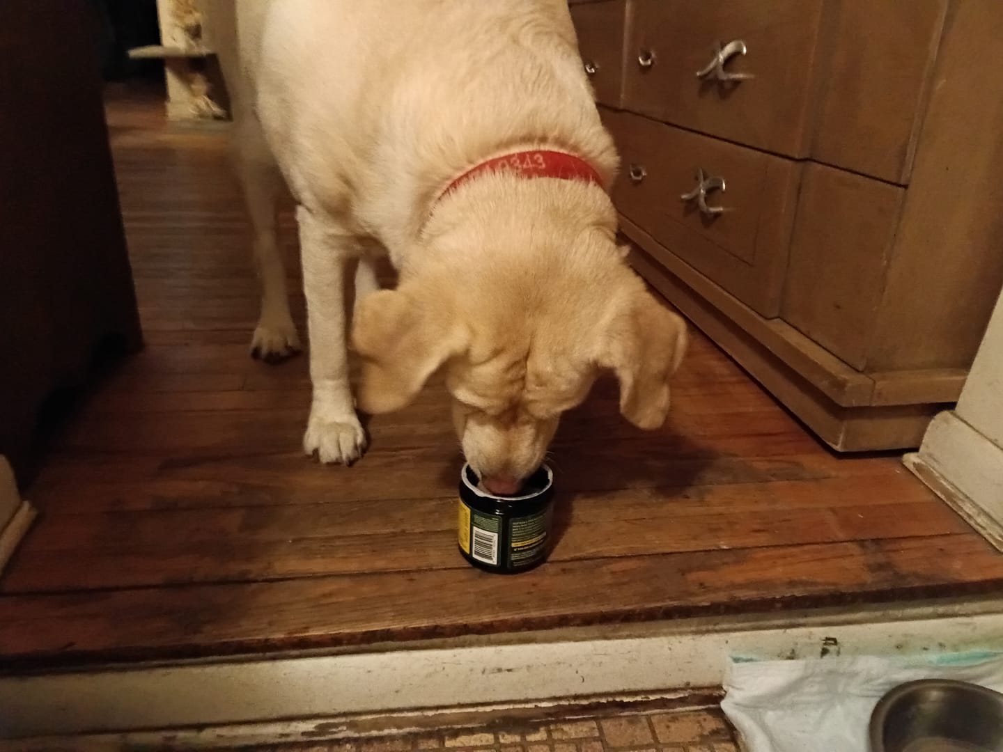 Customer photo review of GCP Flea & Tick Natural Defense for Dogs - 100 Soft Chews