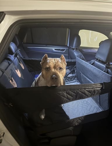Customer photo review of Marlo&Co™ Single Seat Adventure Bundle