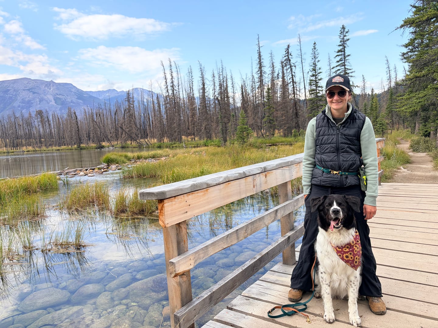 Customer photo review of Biothane Traffic Handle Dog Leash