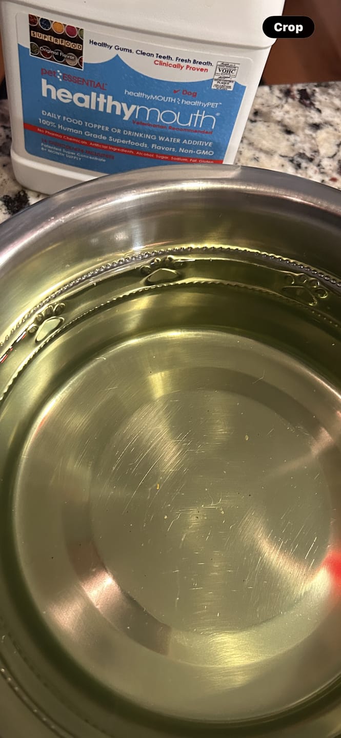 Customer photo review of HealthyMouth® Water Additive For Dogs (Clinically Proven, VOHC Accepted)