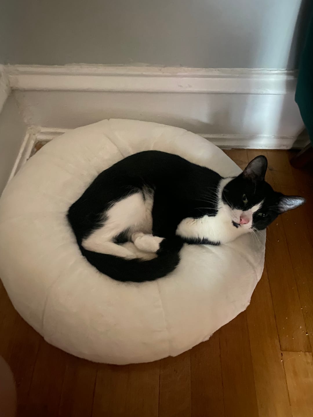Customer photo review of Sourdough Pudding Bed