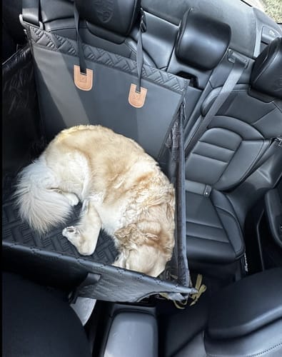 Customer photo review of Marlo&Co™ Single Seat Adventure Bundle