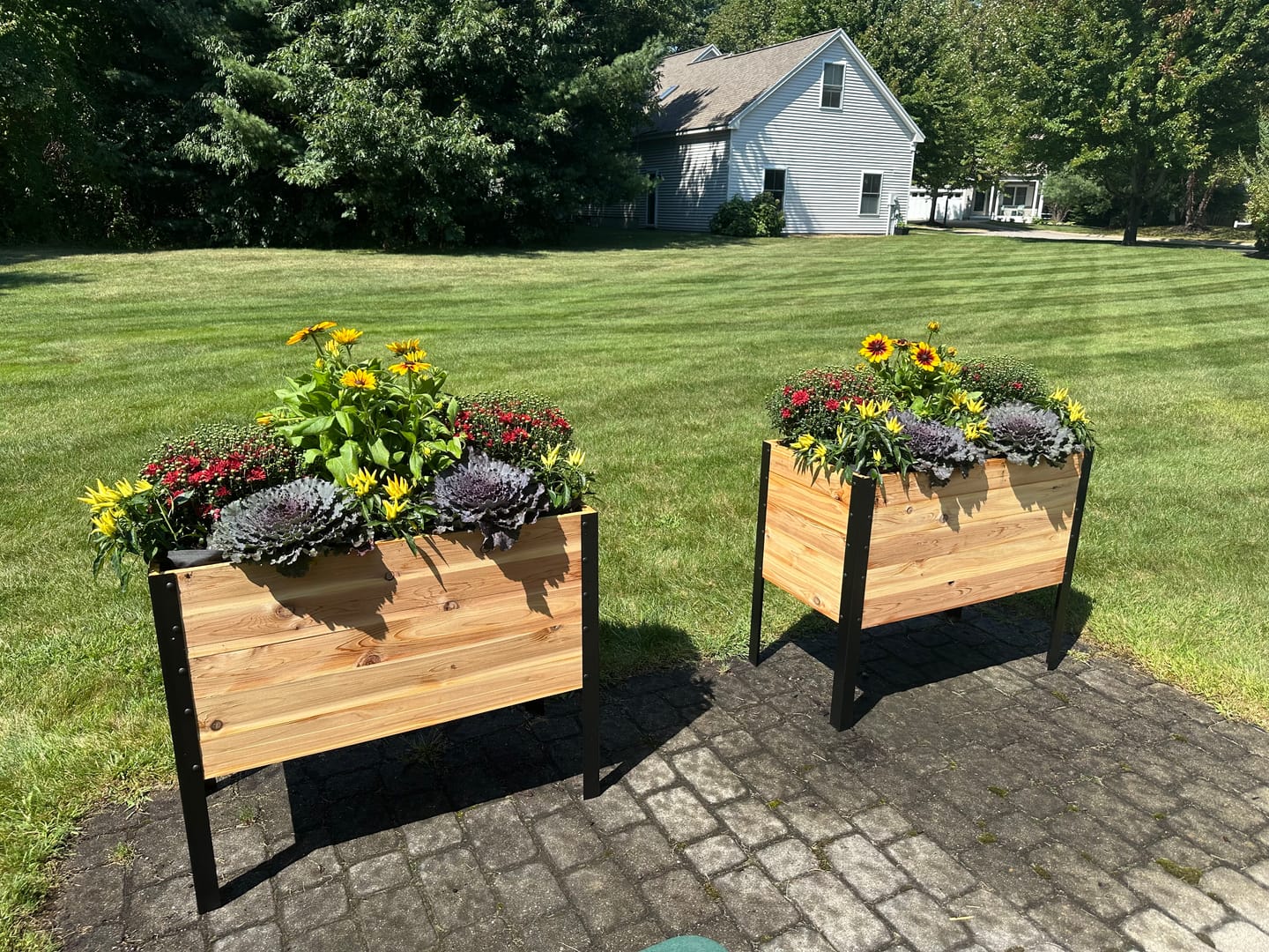 Customer photo review of 18″ x 36″ Deep Root Raised Garden Bed - 30″ TALL / Select Grade