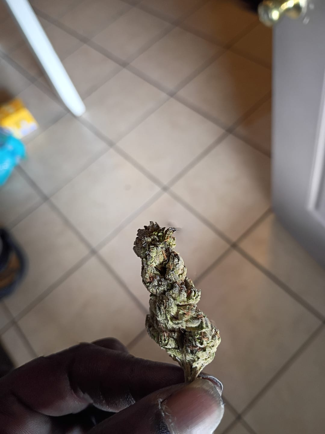 Customer photo review of Light Assist THCA Smalls