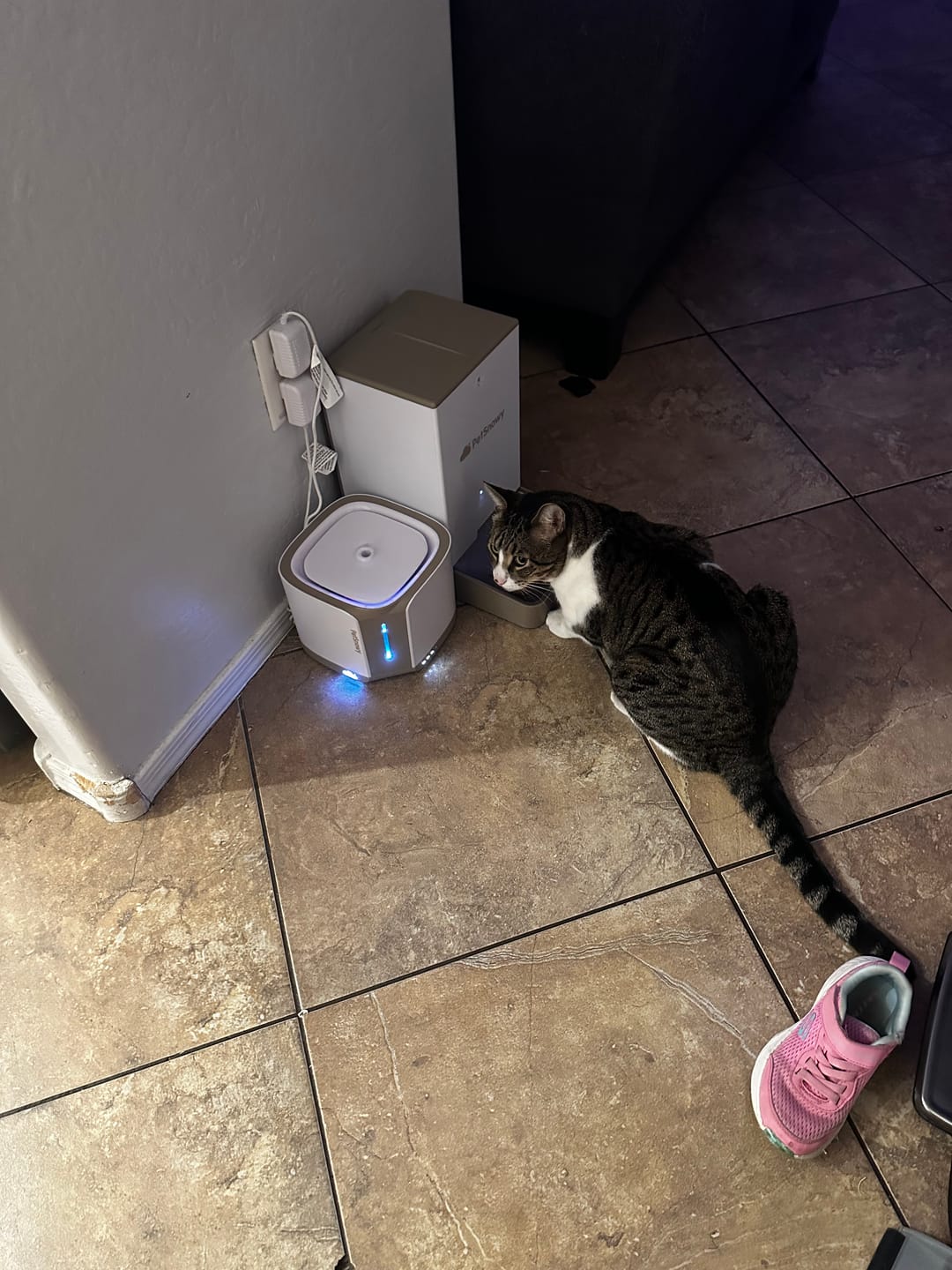 Customer photo review of Pet Water Fountain