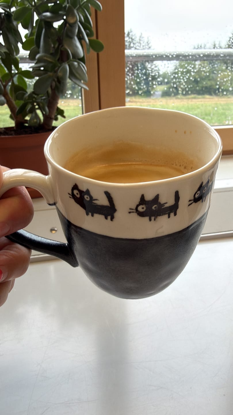 Customer photo review of Schwarze Katze Teetasse