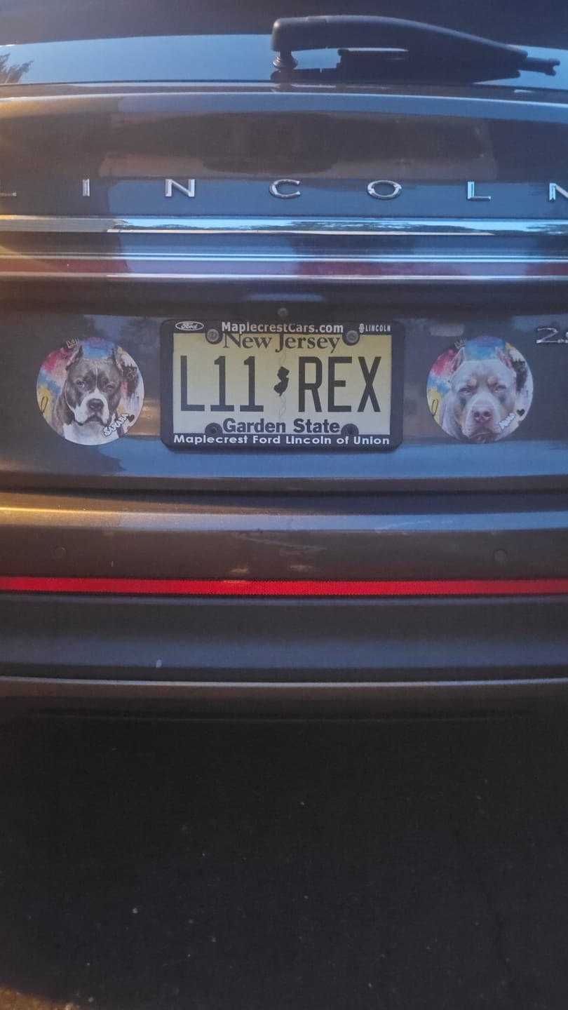 Customer photo review of Graffiti - Personalized Car Magnet