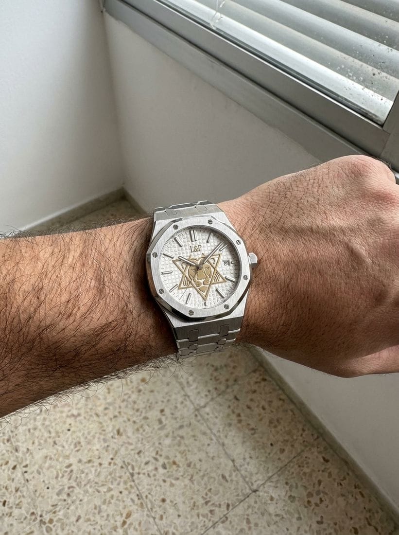 Customer photo review of L&P™ Lion Shield