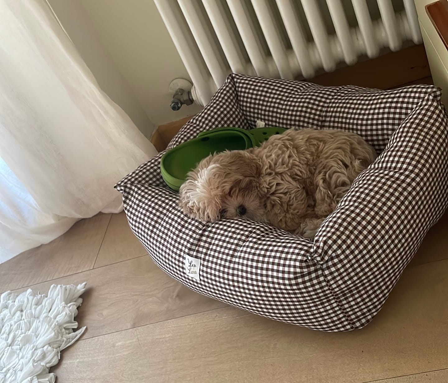 Customer photo review of Divanetto Cotone Vichy Marrone
