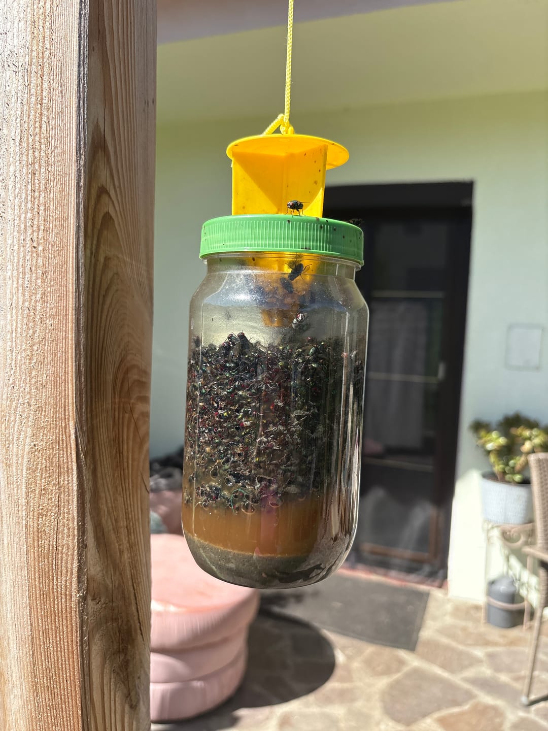 Customer photo review of HorseSafe LiquidTrap – Schluss mit Fliegenstress auf deinem Hof