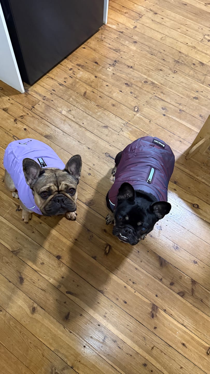 Customer photo review of WarmShield Water-Resistant Jacket - Lilac