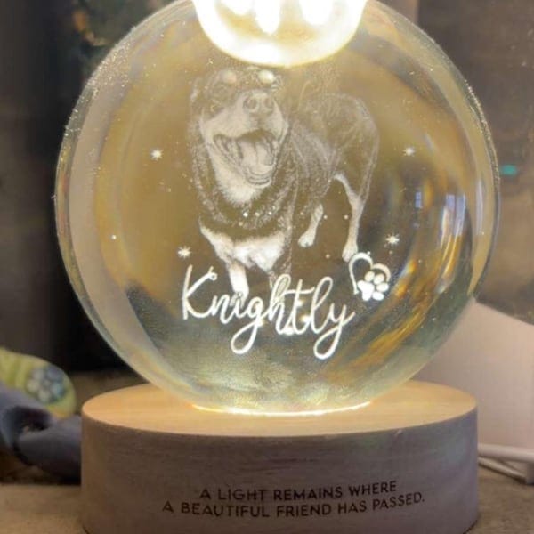 Customer photo review of Personalized Pet Portrait Crystal Ball Night Light