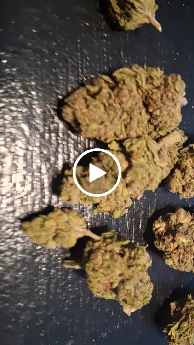 Customer video review of Blackout Berries THCA Flower Ounce (28g)