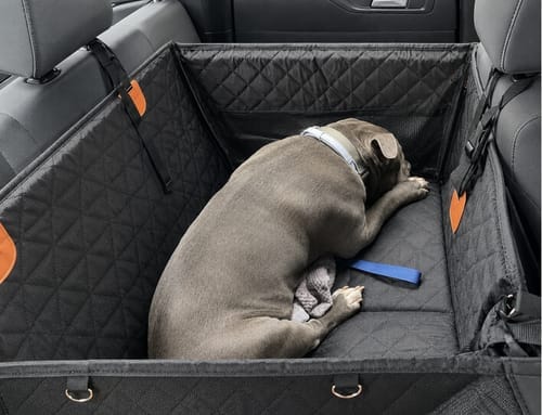 Customer photo review of Marlo&Co™ Single Seat Adventure Bundle