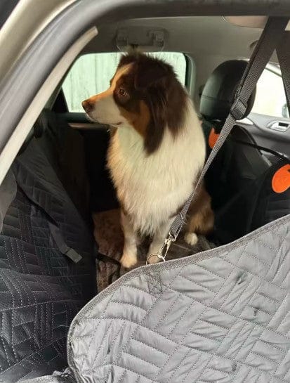 Customer photo review of Housse de voiture pour chien - Fond rigide