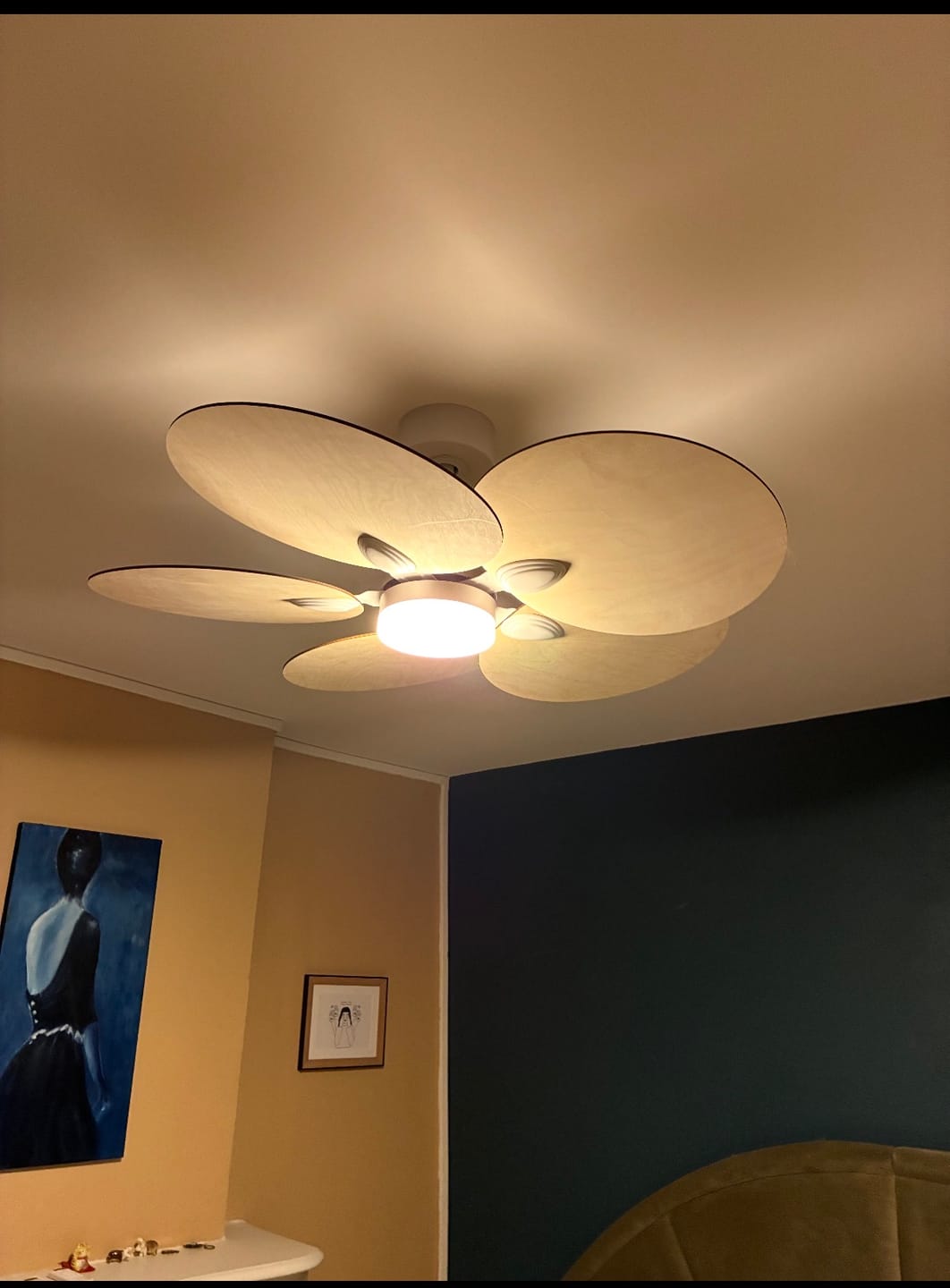 Customer photo review of Lotus | Ventilateur de plafond