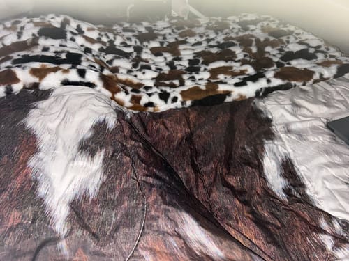 Customer's brown cow print blanket draped over a bed with a white cow print section visible.