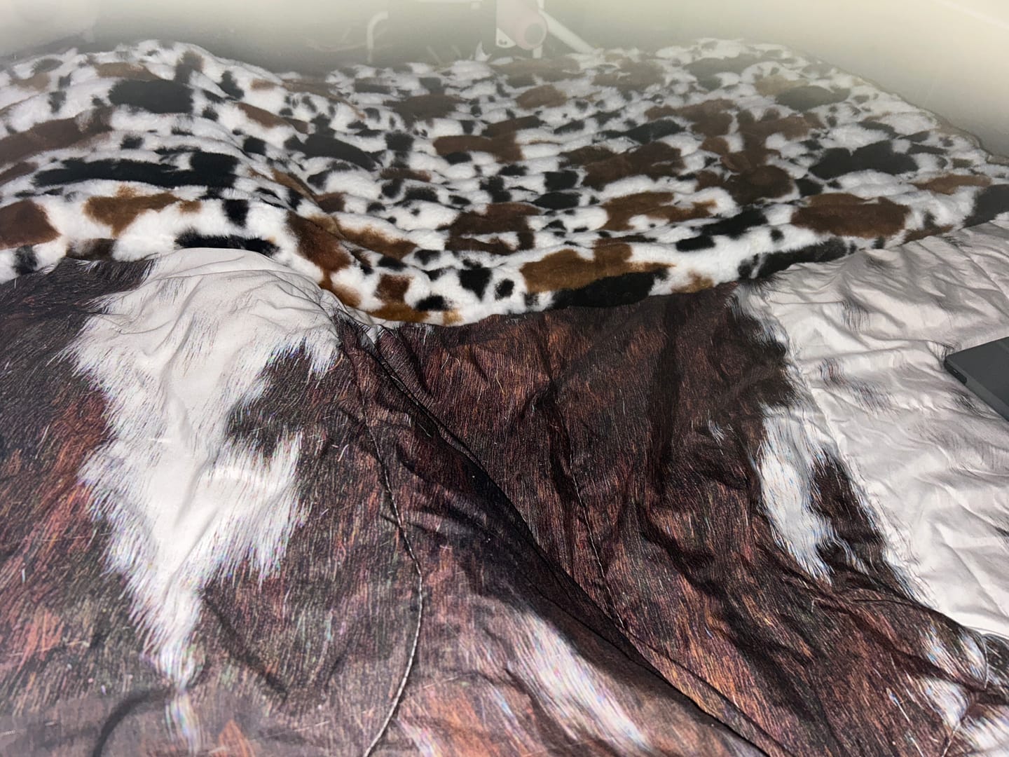 Customer photo review of Hugs Brown Cow Blanket