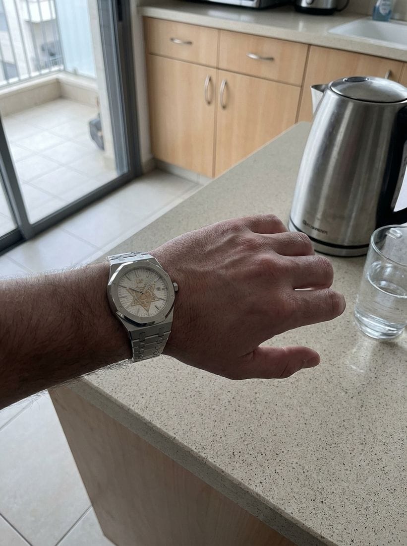Customer photo review of L&P™ Lion Shield