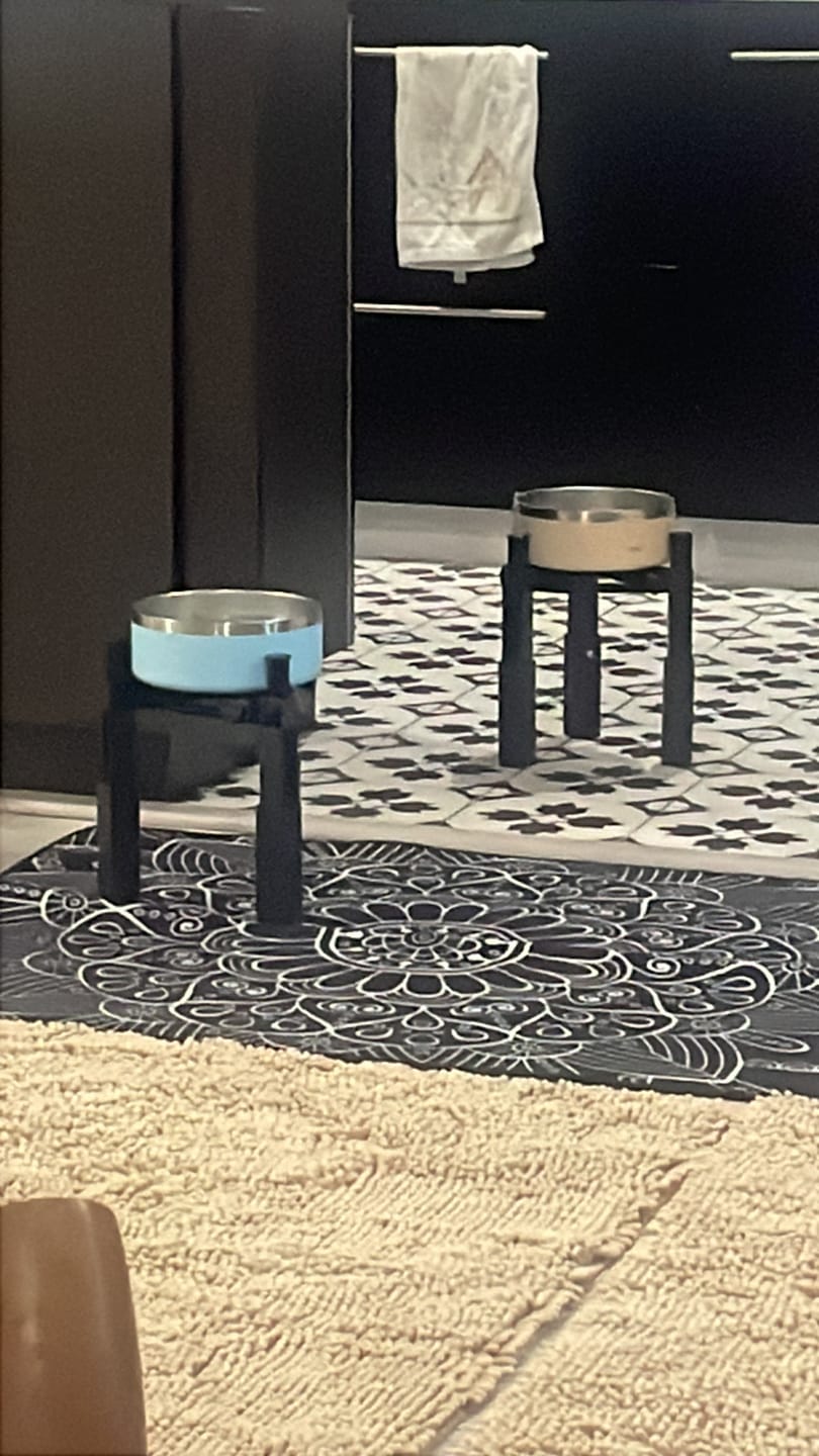 Customer photo review of PENGY Pet Bowl - Plato De Comida Para Mascotas