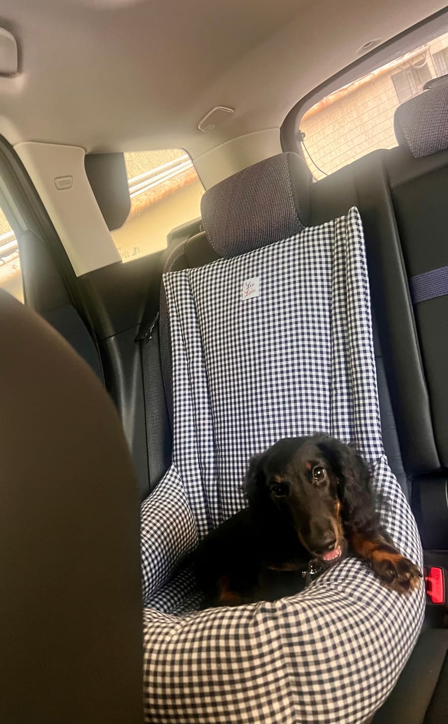Customer photo review of Seggiolino Auto Cotone Vichy Navy