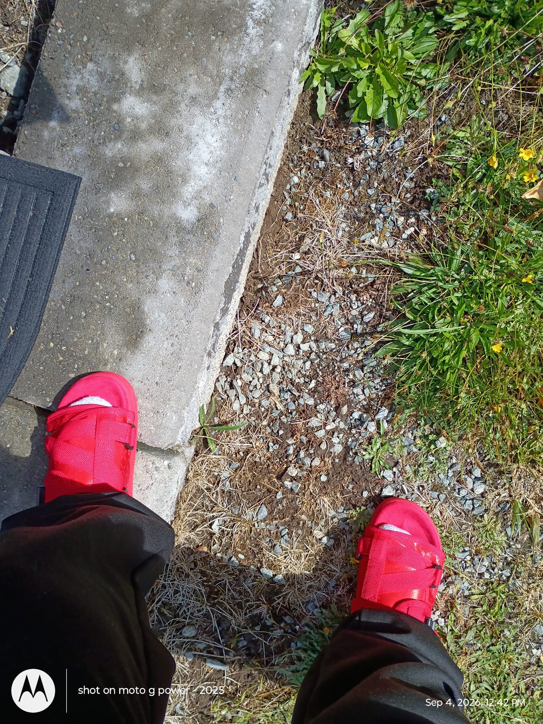 Customer photo review of Magma Dracos V2