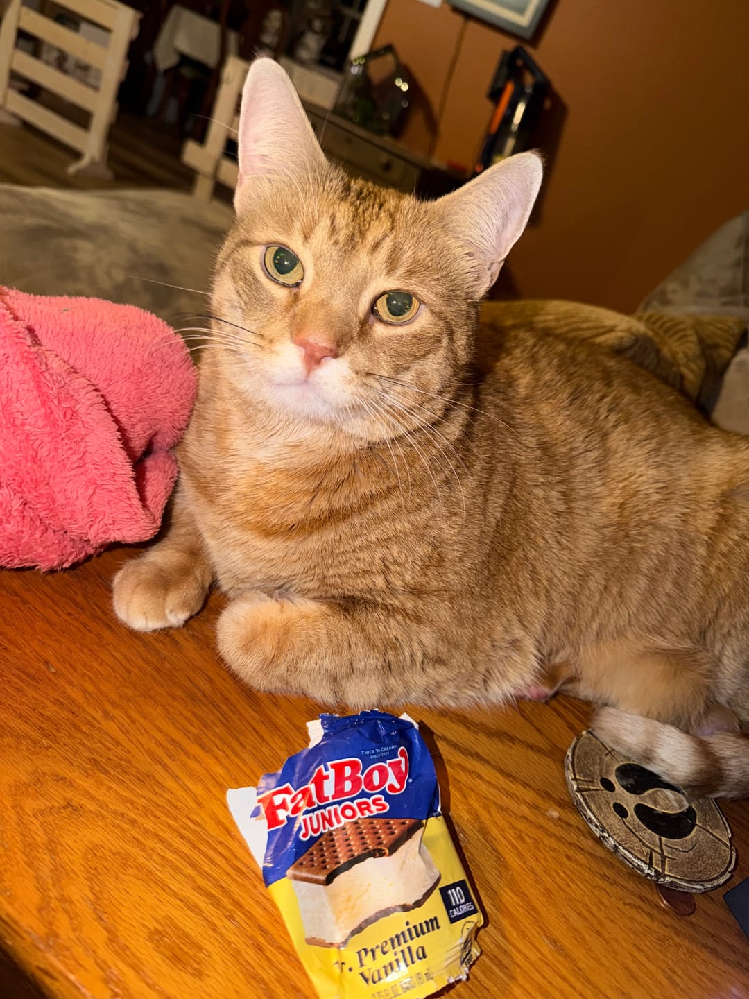 Customer photo review of Breathe Easy Cat Cold, Sneezing & Respiratory Support