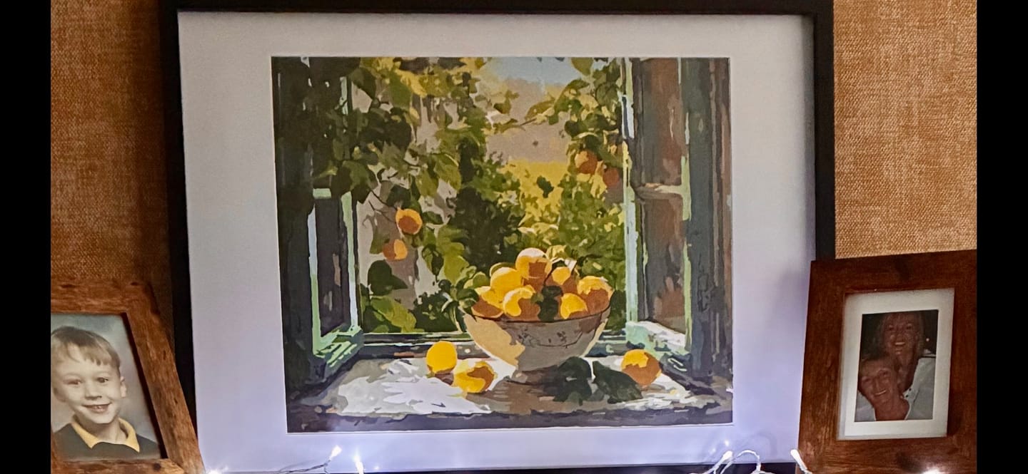 Customer photo review of Lemon Bowl at the Window | Paint by Number
